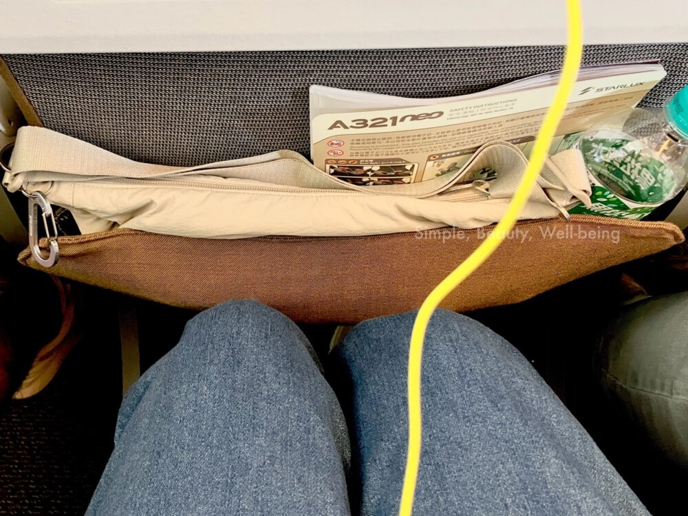 海外旅行の機内持ち込み貴重品バッグの中身について、飛行機の座席の前のポケットにバッグごとすべての持ち物が収まっている写真